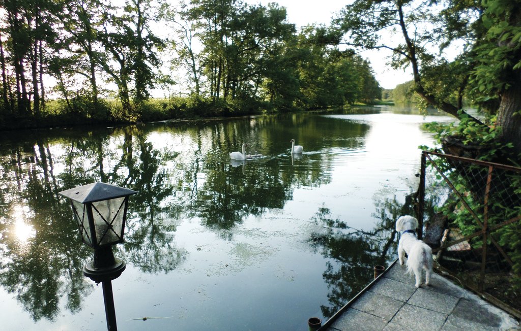 Feriehus - Manschnow , Tyskland - DBB501 11