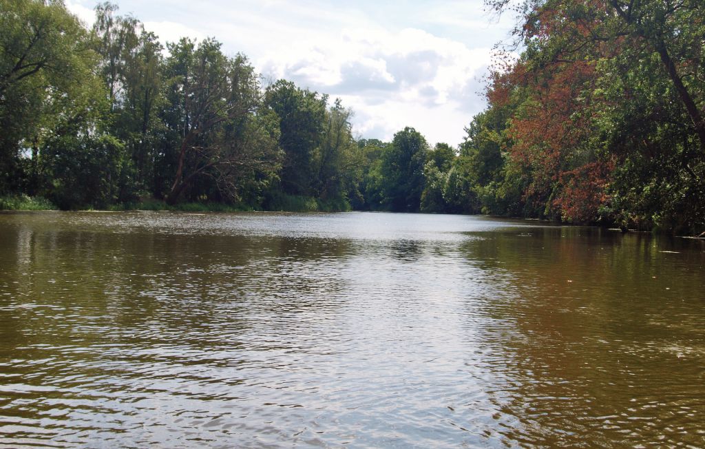 Feriehus - Manschnow , Tyskland - DBB501 13