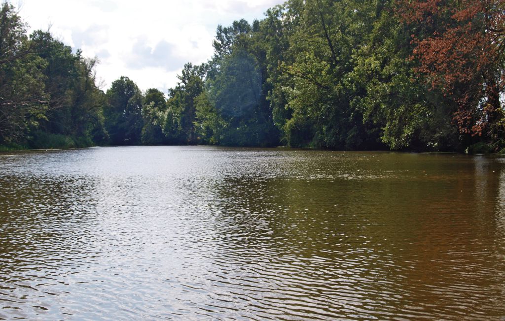 Feriehus - Manschnow , Tyskland - DBB501 14