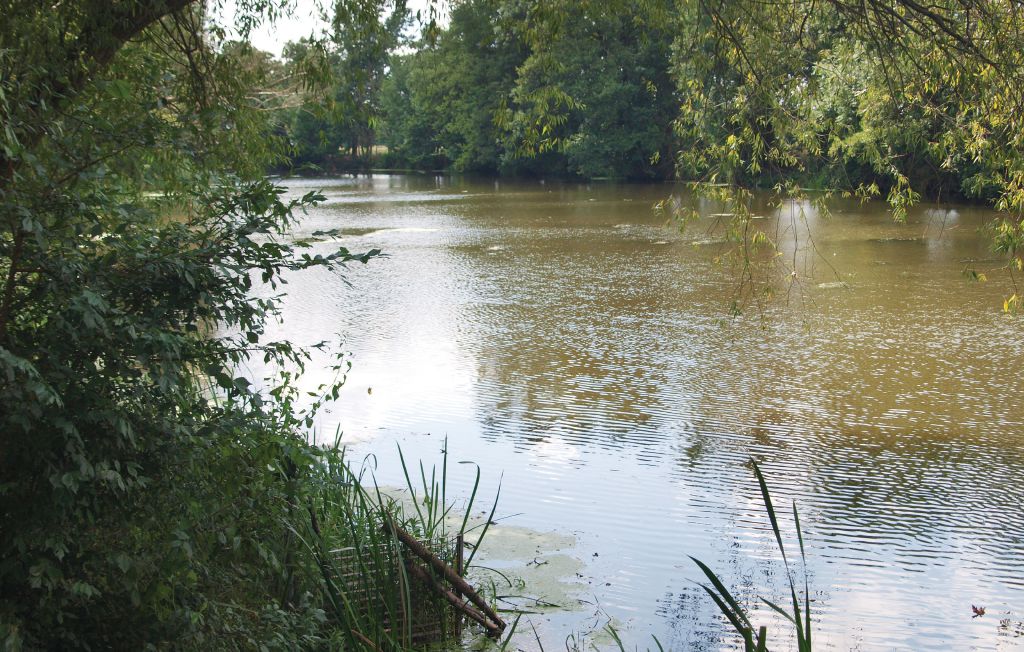 Feriehus - Manschnow , Tyskland - DBB501 15