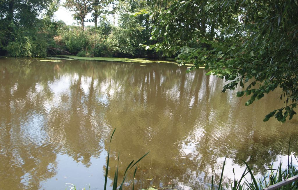 Feriehus - Manschnow , Tyskland - DBB501 16