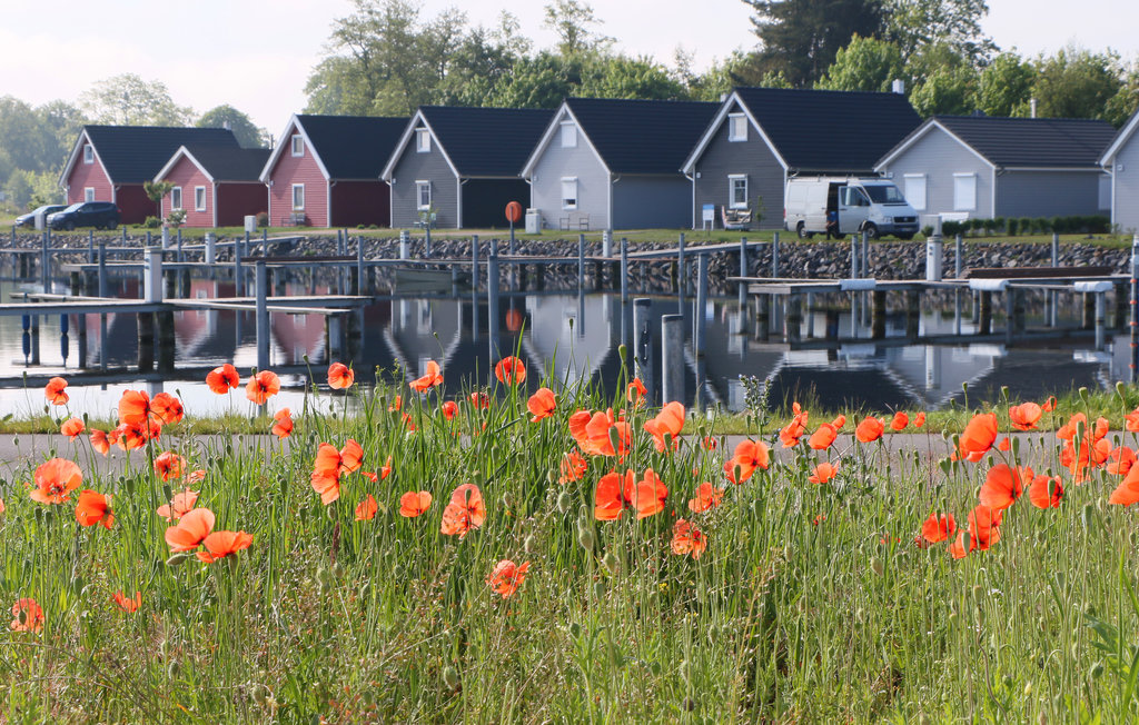 Ferienhaus - Hafendorf Zerpenschleuse , Deutschland - DBB448 20