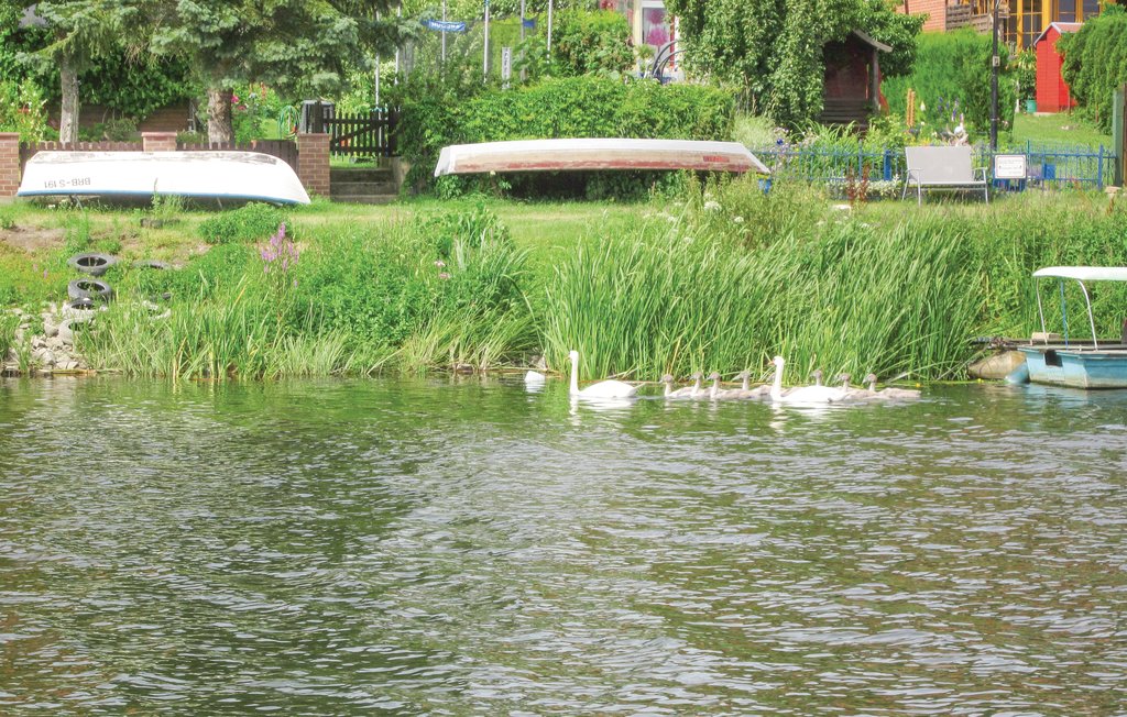 Husbåt - Havelsee , Tyskland - DBB003 18