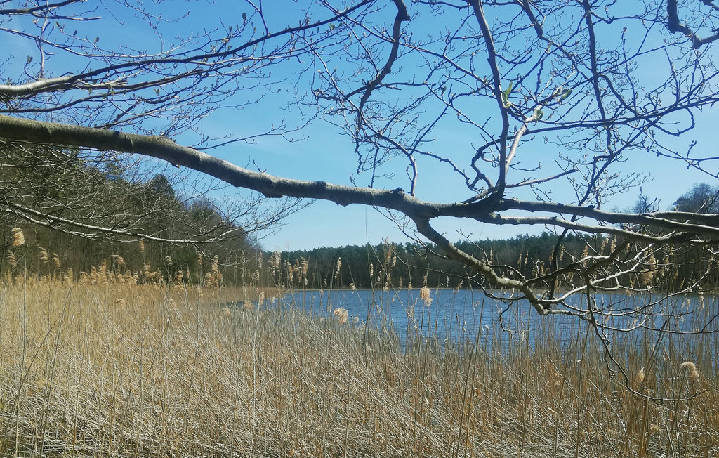 Feriehus - Hafendorf Zerpenschleuse , Tyskland - DBB472 22