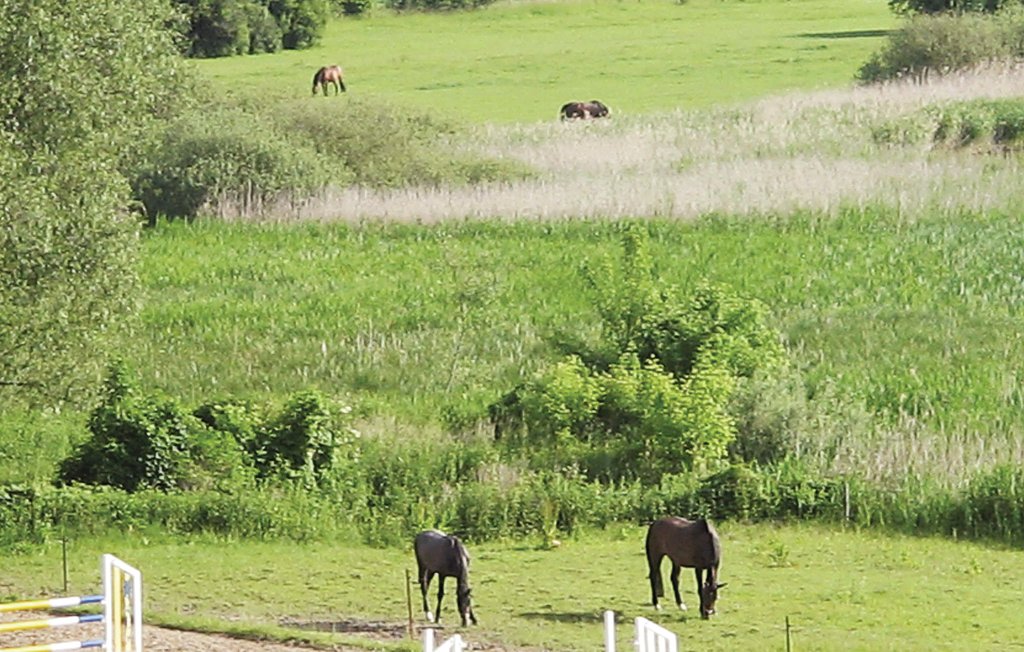 Semesterhus - Herrenhaus Lübbenow , Tyskland - DBB112 17