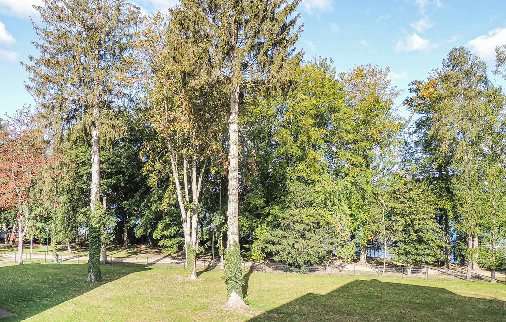 Ferieleilighet - Altenhof/Werbellinsee , Tyskland - DBB209 11