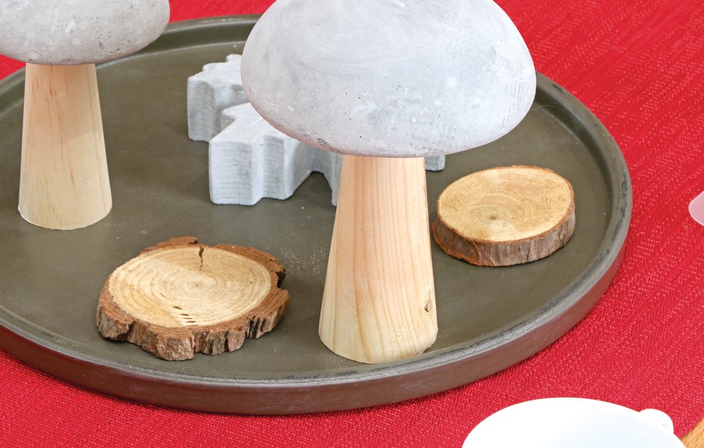 Ferienhaus - Hafendorf Zerpenschleuse , Deutschland - DBB418 17