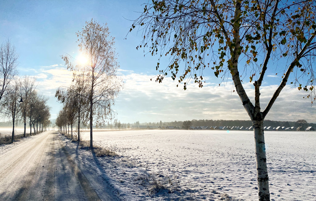 Feriehus - Zerpenschleuse , Tyskland - DBB488 15