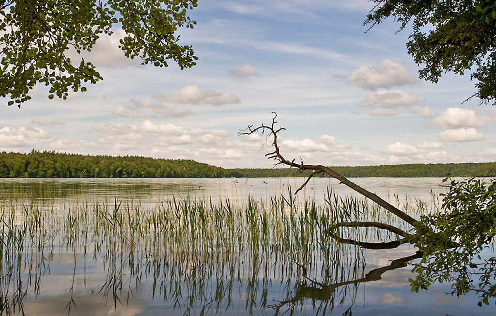 Ferienhaus - Neuglobsow , Deutschland - DBB735 9