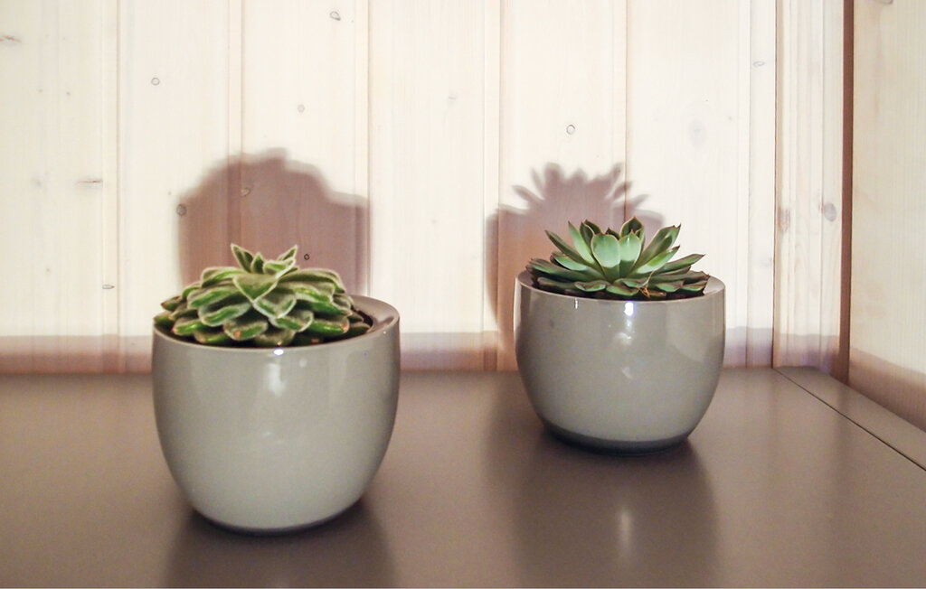 Feriehus - Hafendorf Zerpenschleuse , Tyskland - DBB432 18