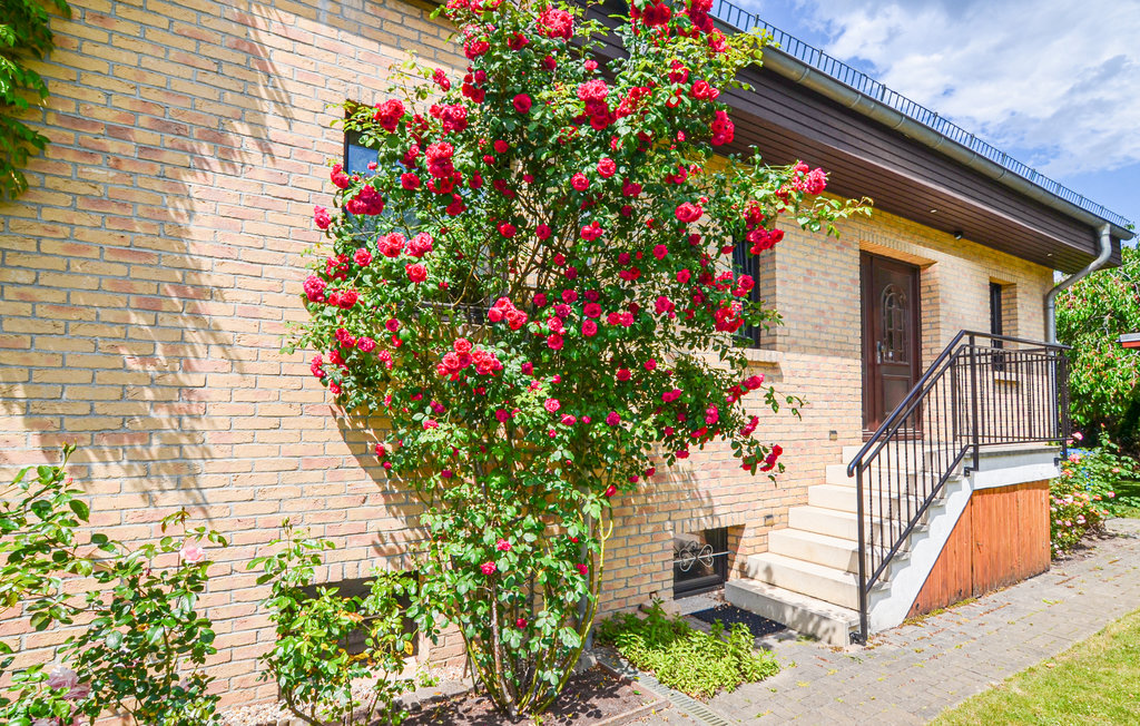 Ferieleilighet - Berlin-Bohnsdorf , Tyskland - DBE145 9