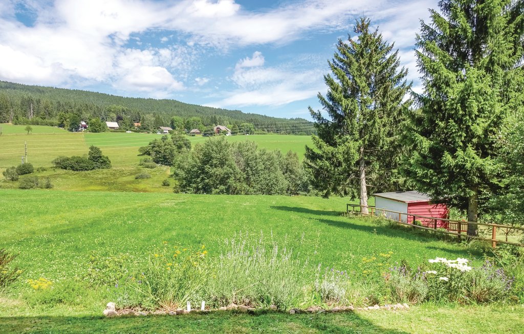 Ferienwohnung - Lenzkirch-Saig , Deutschland - DBW918 10