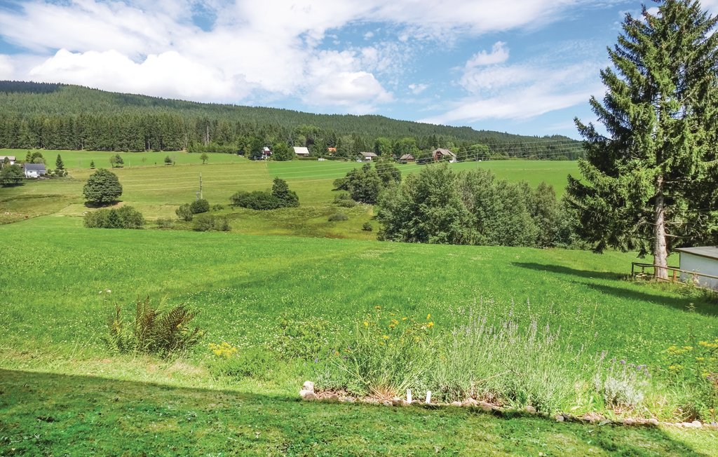 Ferienwohnung - Lenzkirch-Saig , Deutschland - DBW918 11