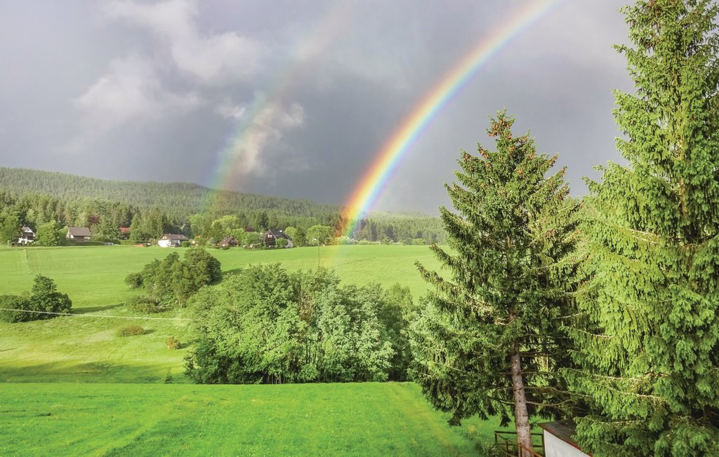 Ferienwohnung - Lenzkirch-Saig , Deutschland - DBW918 13