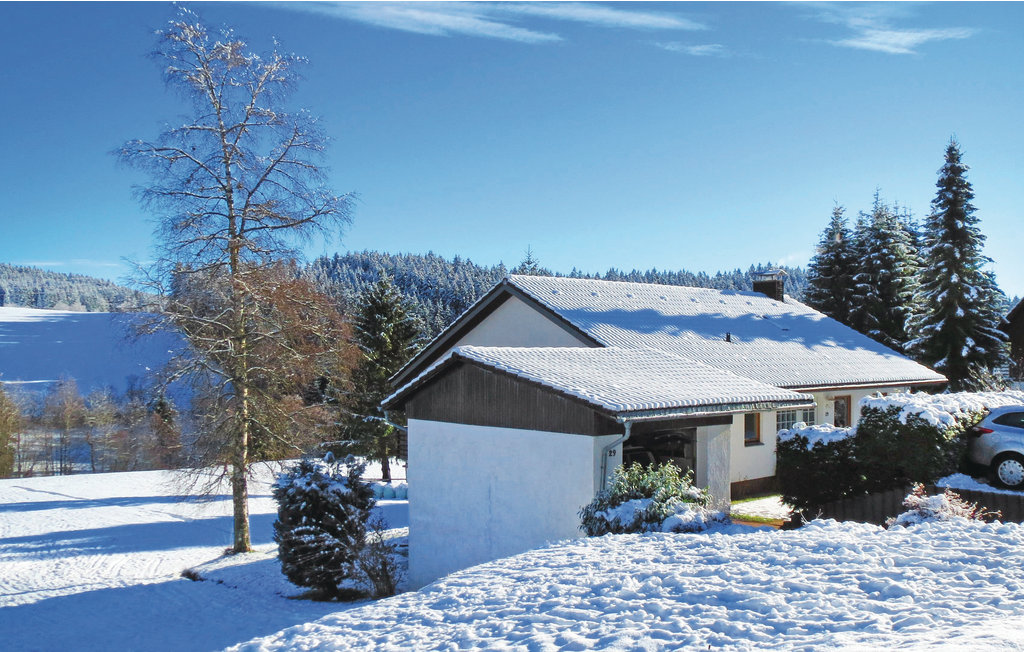 Ferienwohnung - Lenzkirch-Saig , Deutschland - DBW918 25