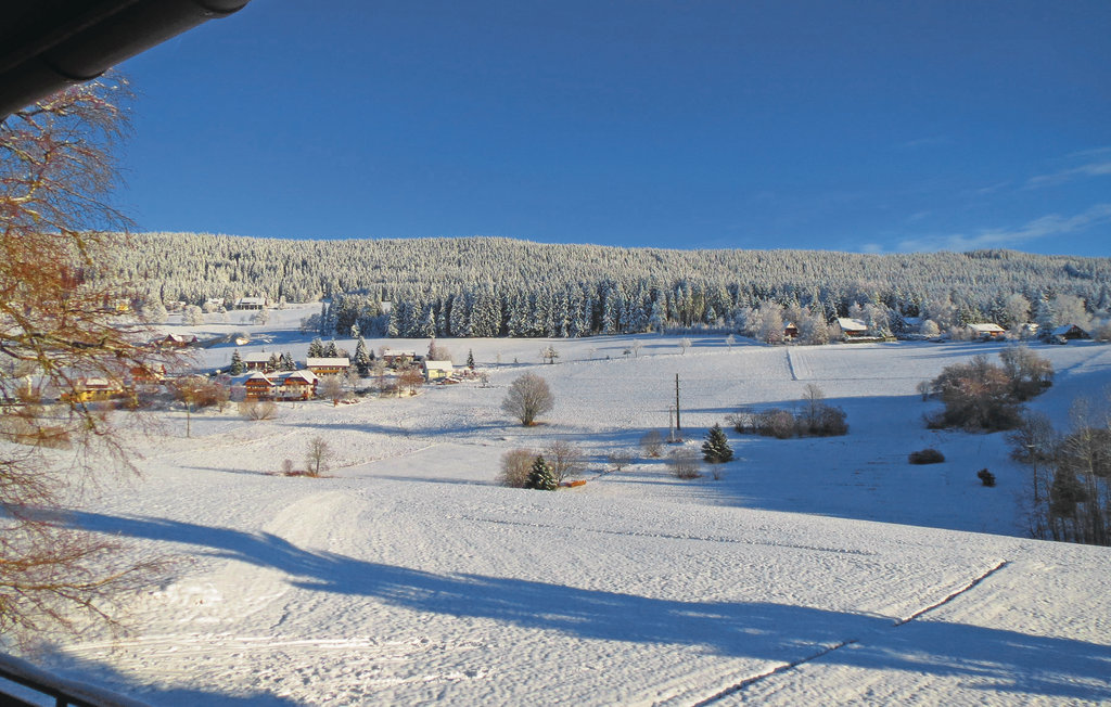 Ferienwohnung - Lenzkirch-Saig , Deutschland - DBW918 26