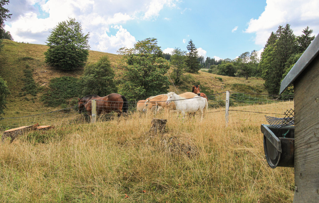Feriehus - Schonach im Schwarzwald , Tyskland - DBW193 16