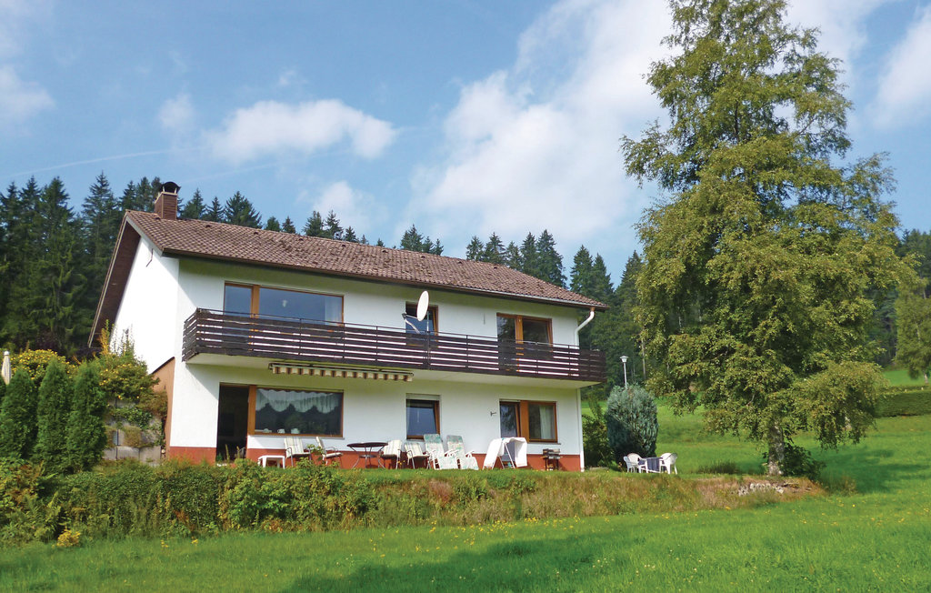 Ferienwohnung - Lenzkirch-Saig , Deutschland - DBW918 6