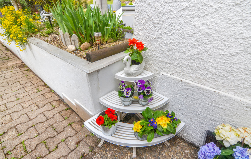 Semesterlägenhet - Hornberg , Tyskland - DBW191 10