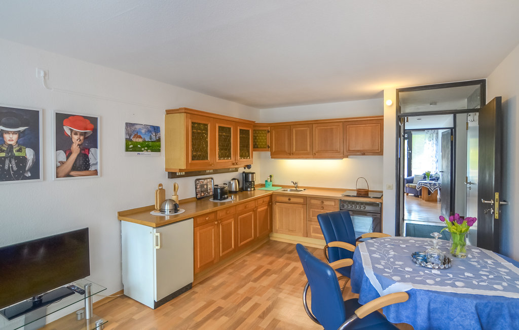 Semesterlägenhet - Hornberg , Tyskland - DBW191 4