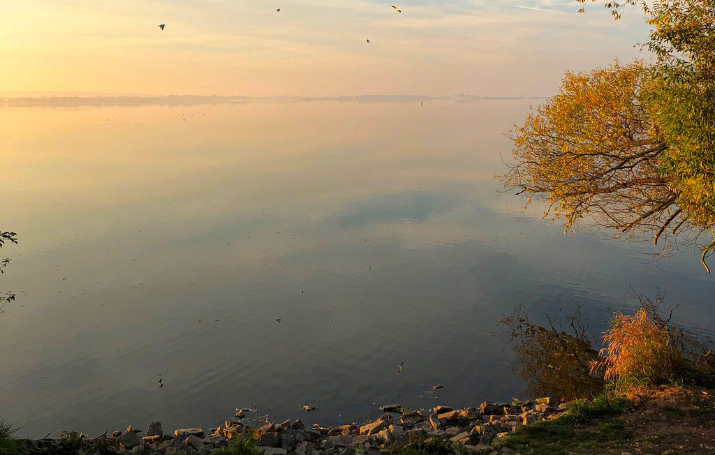 Feriehuse - Marissa Resort/Dümmer See , Tyskland - DDS211 31