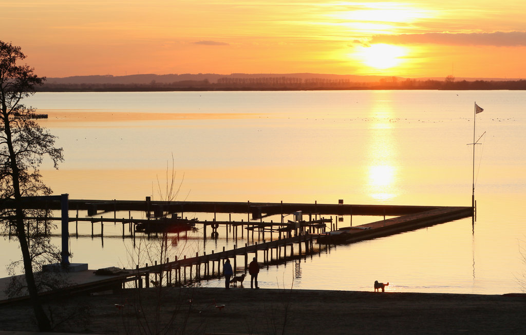 Lejlighed - Marissa Resort/Dümmer See , Tyskland - DDS676 19