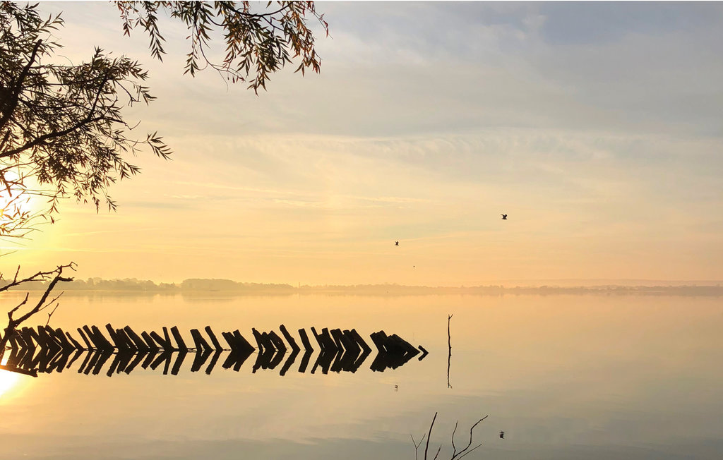 Feriehuse - Marissa Resort/Dümmer See , Tyskland - DDS281 25