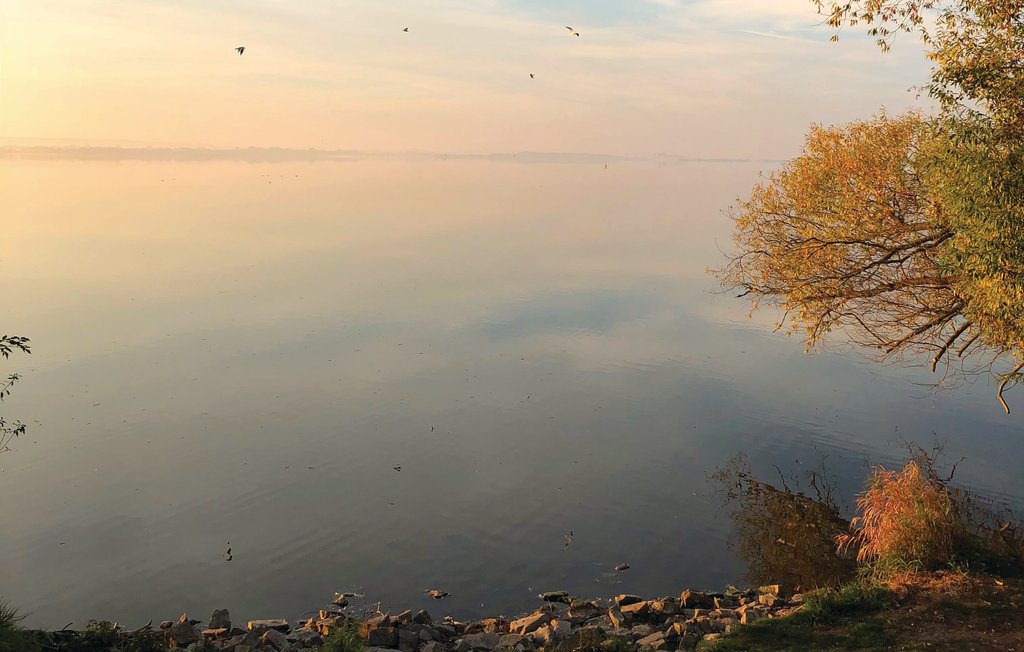 Ferieleilighet - Lembruch/Dümmer See , Tyskland - DDS607 22