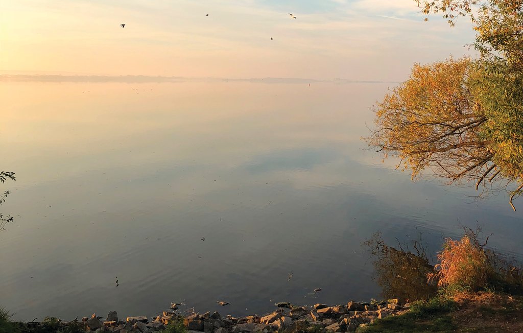 Ferienwohnung - Marissa mit Seeblick , Deutschland - DDS638 25