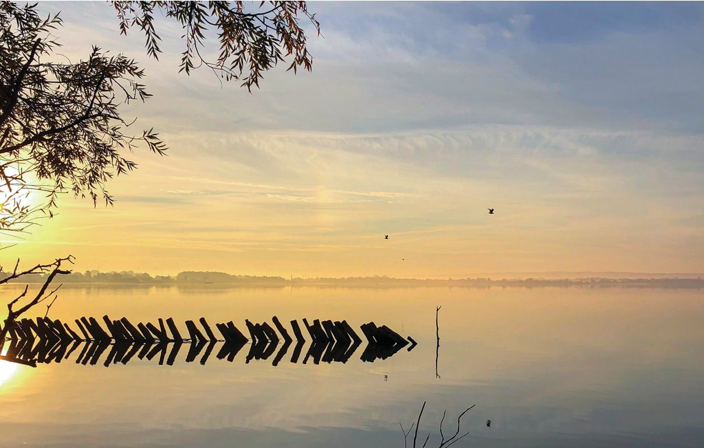 Ferienhaeuser - Marissa Resort/Dümmer See , Deutschland - DDS240 25