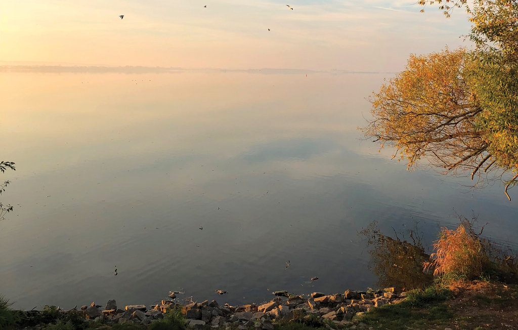 Semesterlägenhet - Marissa Resort/Dümmer See , Tyskland - DDS687 16