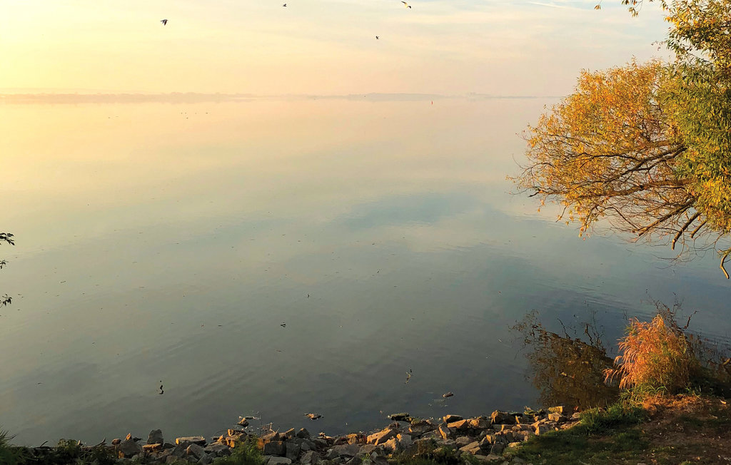 Semesterlägenhet - Lembruch/Dümmer See , Tyskland - DDS654 30