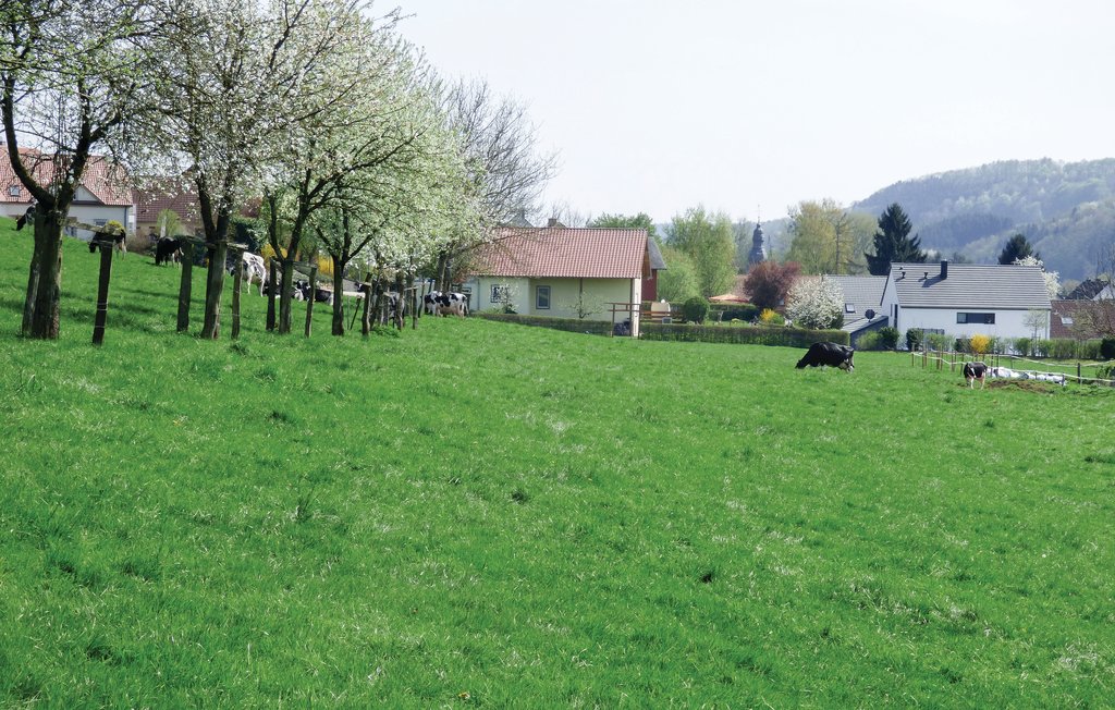 Semesterhus - Körperich-Obersgegen , Tyskland - DEI235 8