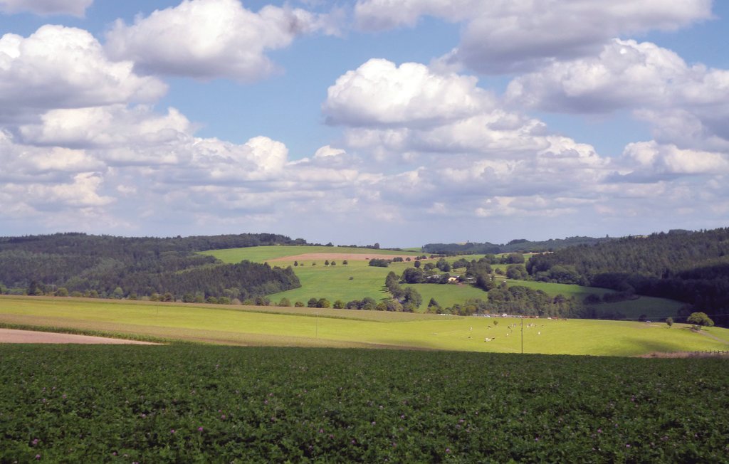 Ferieleilighet - Meisburg/Bitburg , Tyskland - DEI118 21