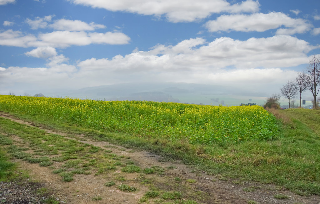 Feriehuse - Eifel , Tyskland - DEI182 39