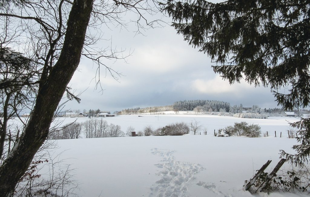 Ferienhaus - Prüm - Walcherath , Deutschland - DEI140 18