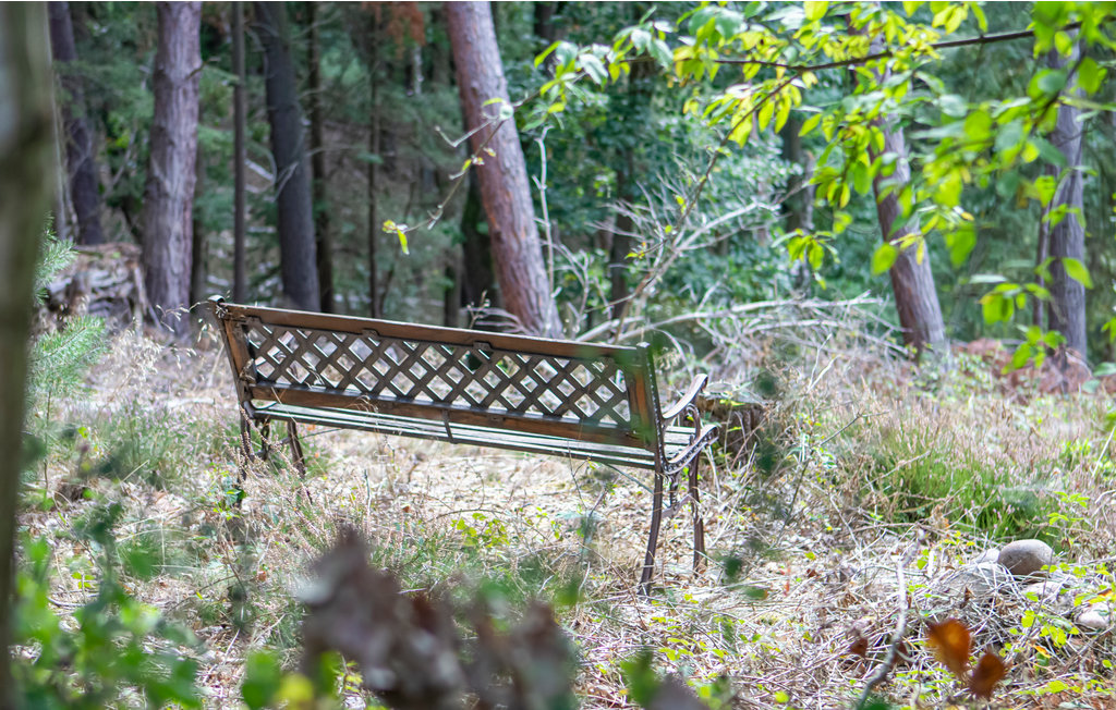 Semesterhus - Nideggen/Eifel , Tyskland - DEI168 7