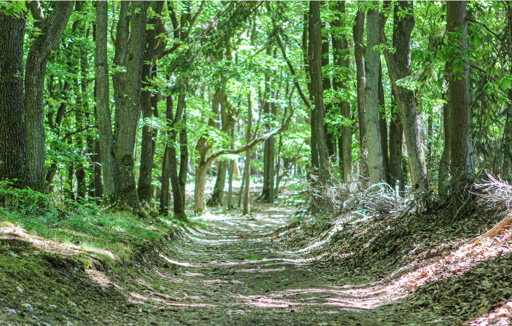 Semesterhus - Nideggen/Eifel , Tyskland - DEI168 15