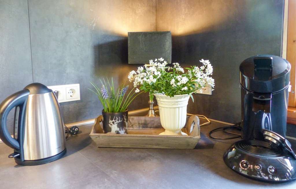 Semesterhus - Nimsreuland - Eifel , Tyskland - DEI177 5