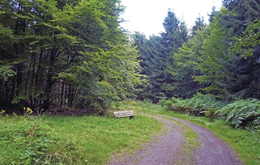 Bild 22 Bild 22