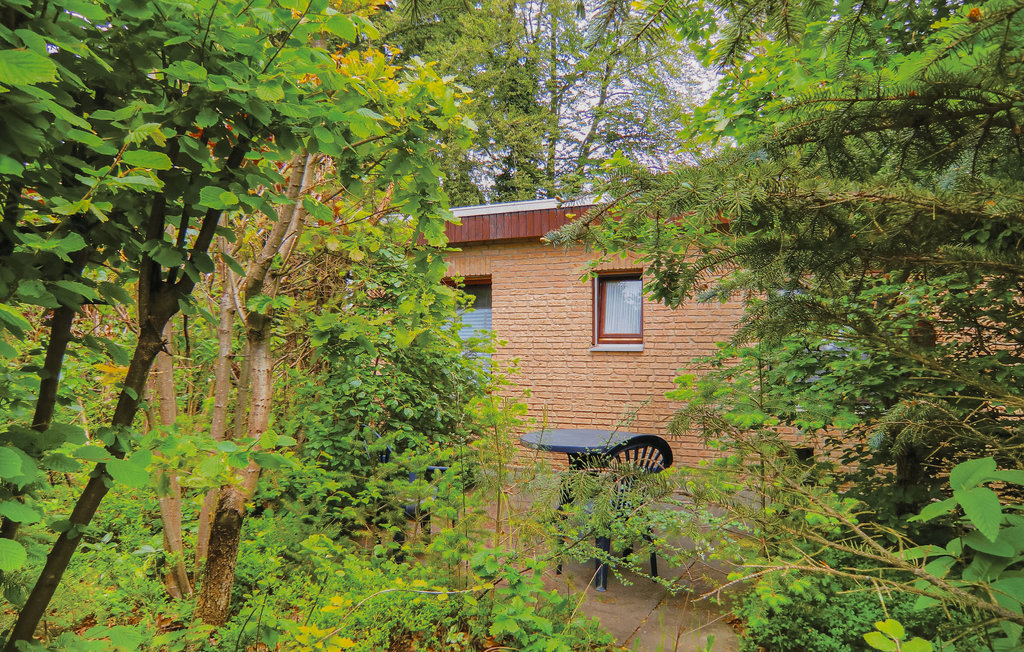 Bild 4 Bild 4