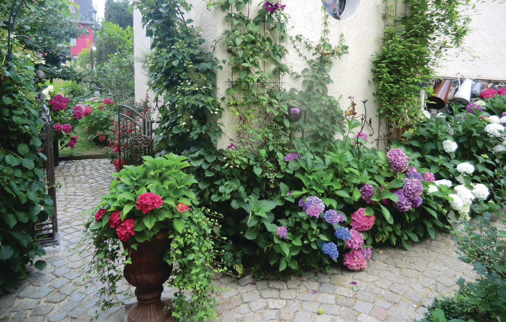 Ferienwohnung - Bad Schlema , Deutschland - DER268 11