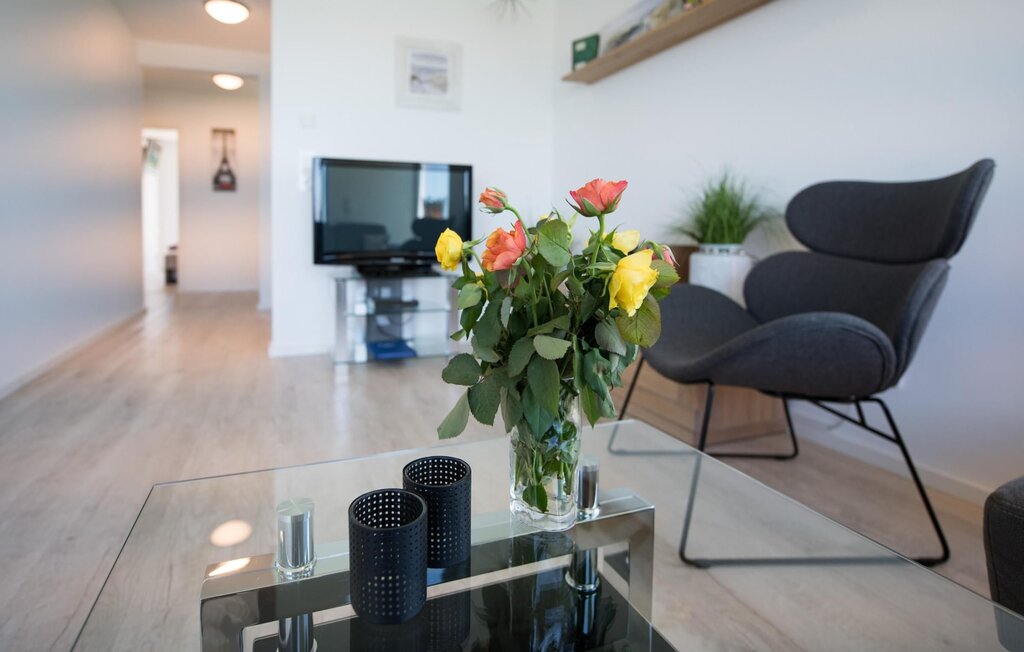 Apartment - Sternschnuppe, OstseeResort Olpenitz , Germany - DFH021 10