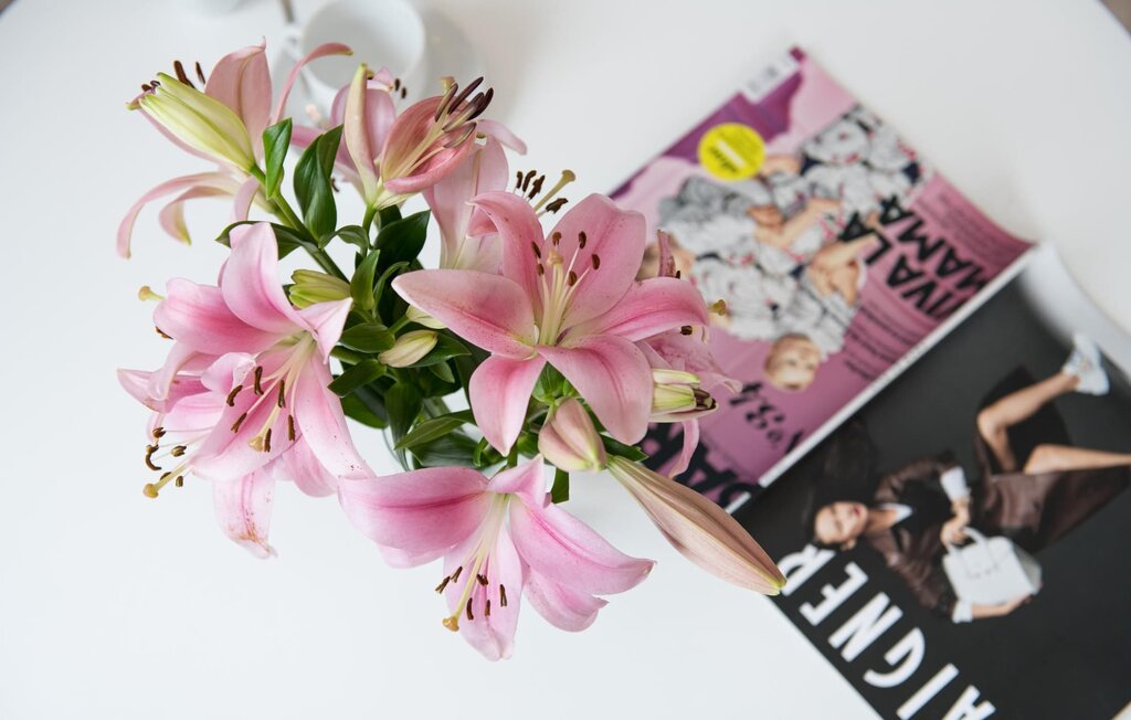 
Holiday rental - Marina 1, OstseeResort Olpenitz , Germany - DFH108 29