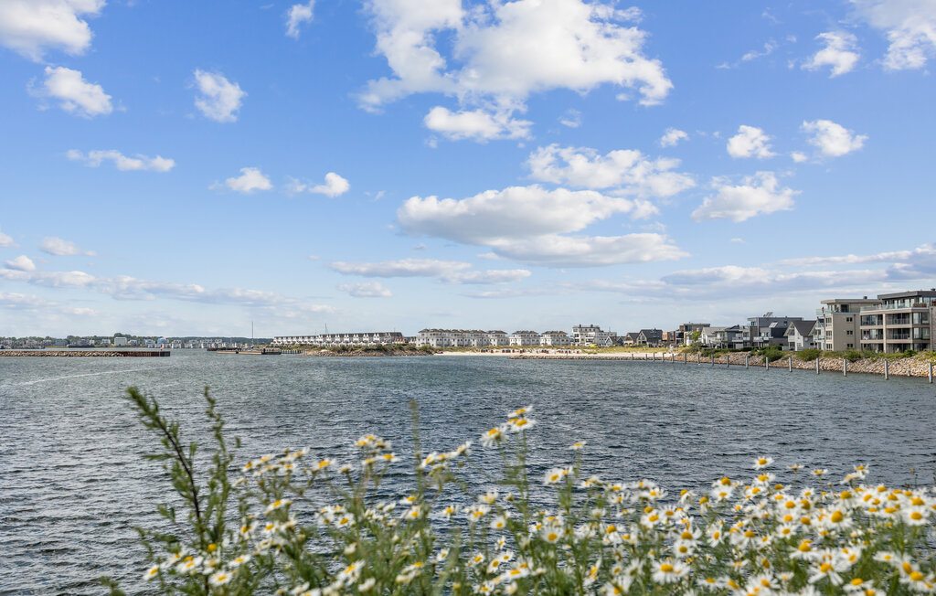 Ferienwohnung - Schleieck, OstseeResort Olpenitz , Deutschland - DFH462 35
