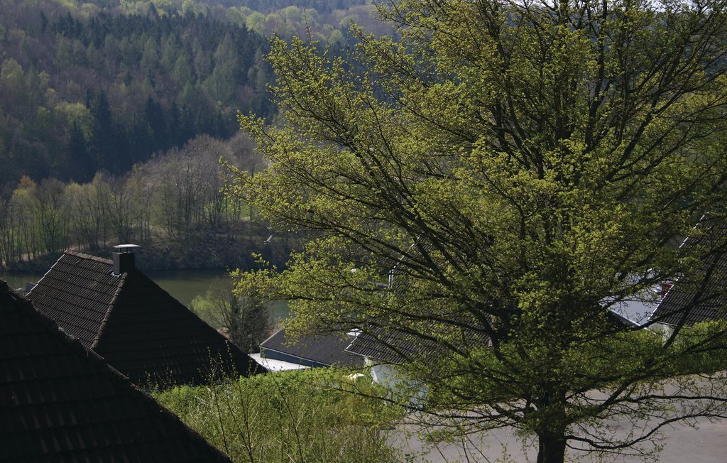 Ferienhaus - Kirchheim/Hessen , Deutschland - DHE156 8