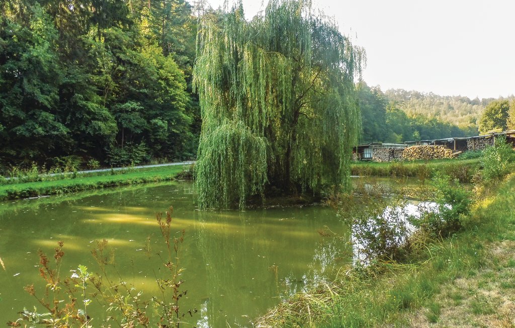 Semesterhus - Schlitz-Rimbach , Tyskland - DHE274 15