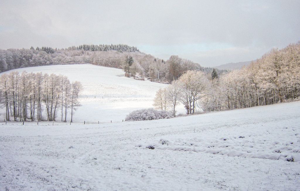 Ferieleilighet - Jesberg / Densberg , Tyskland - DHE276 30