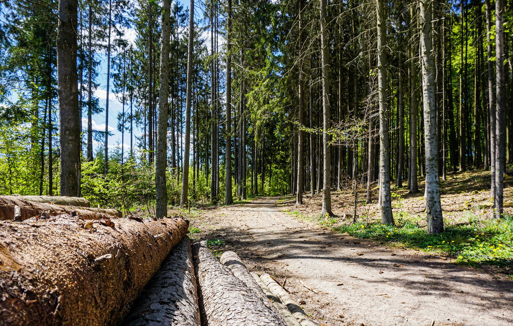Feriehus - Kirchheim/Hessen , Tyskland - DHE198 27