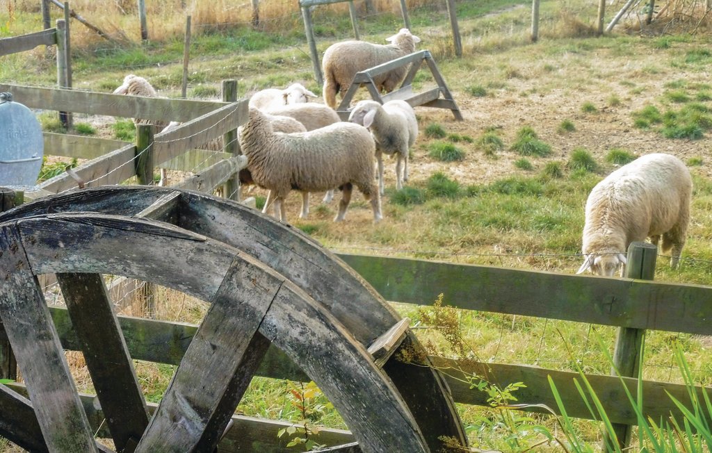 Semesterhus - Schlitz-Rimbach , Tyskland - DHE274 12